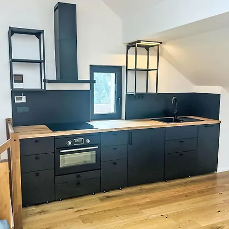 Ski&bike Sirena 4-2 By Interhome Apartman Janské Lázně